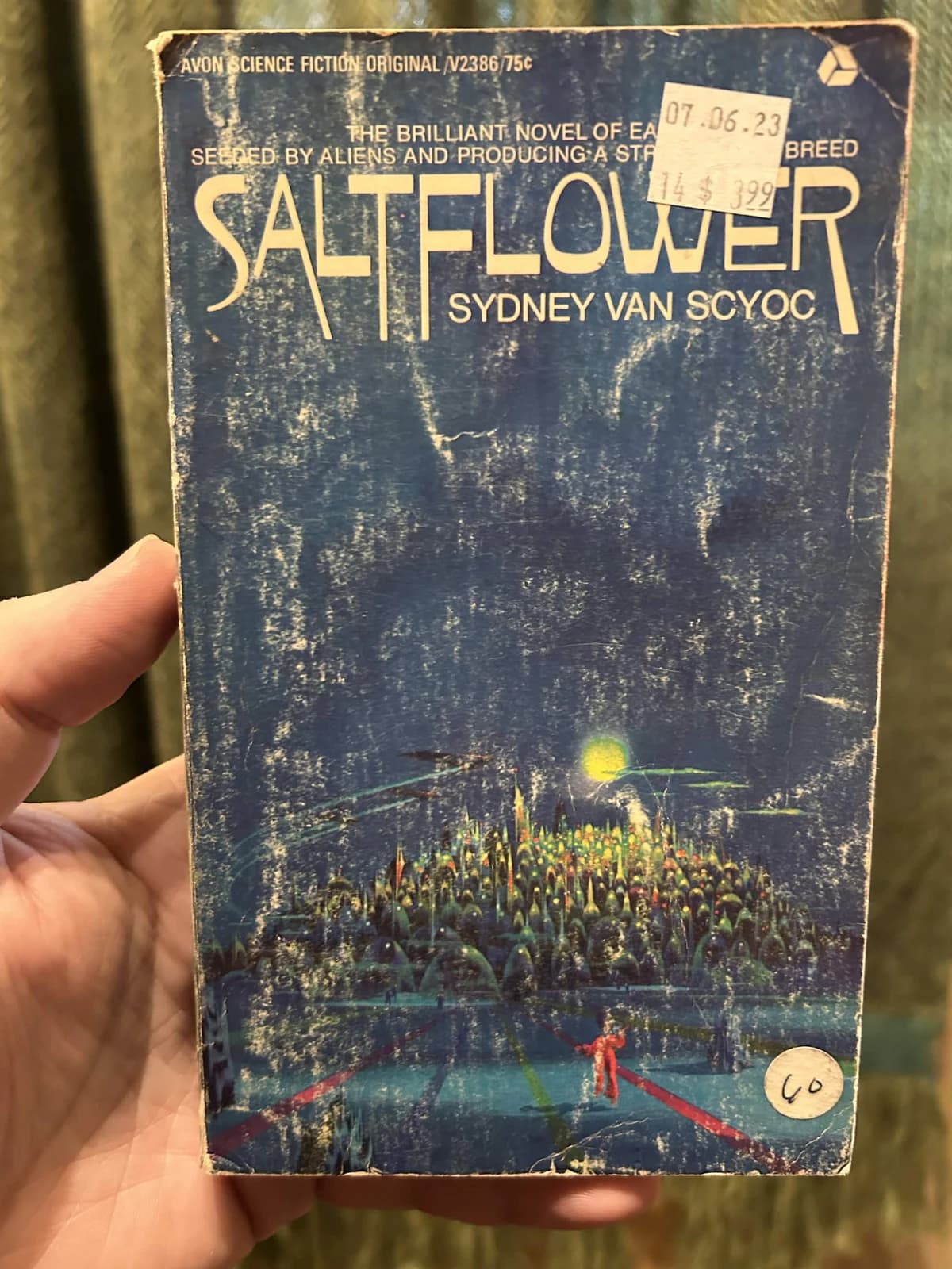 Saltflower cover